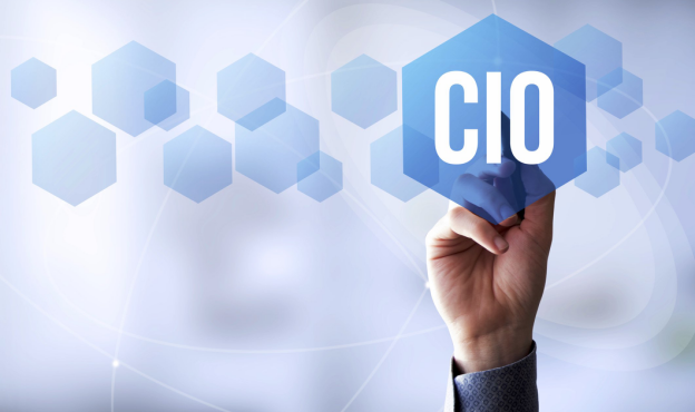 Chief Information Officers: What You Should Know When Hiring a CIO on consultis.com